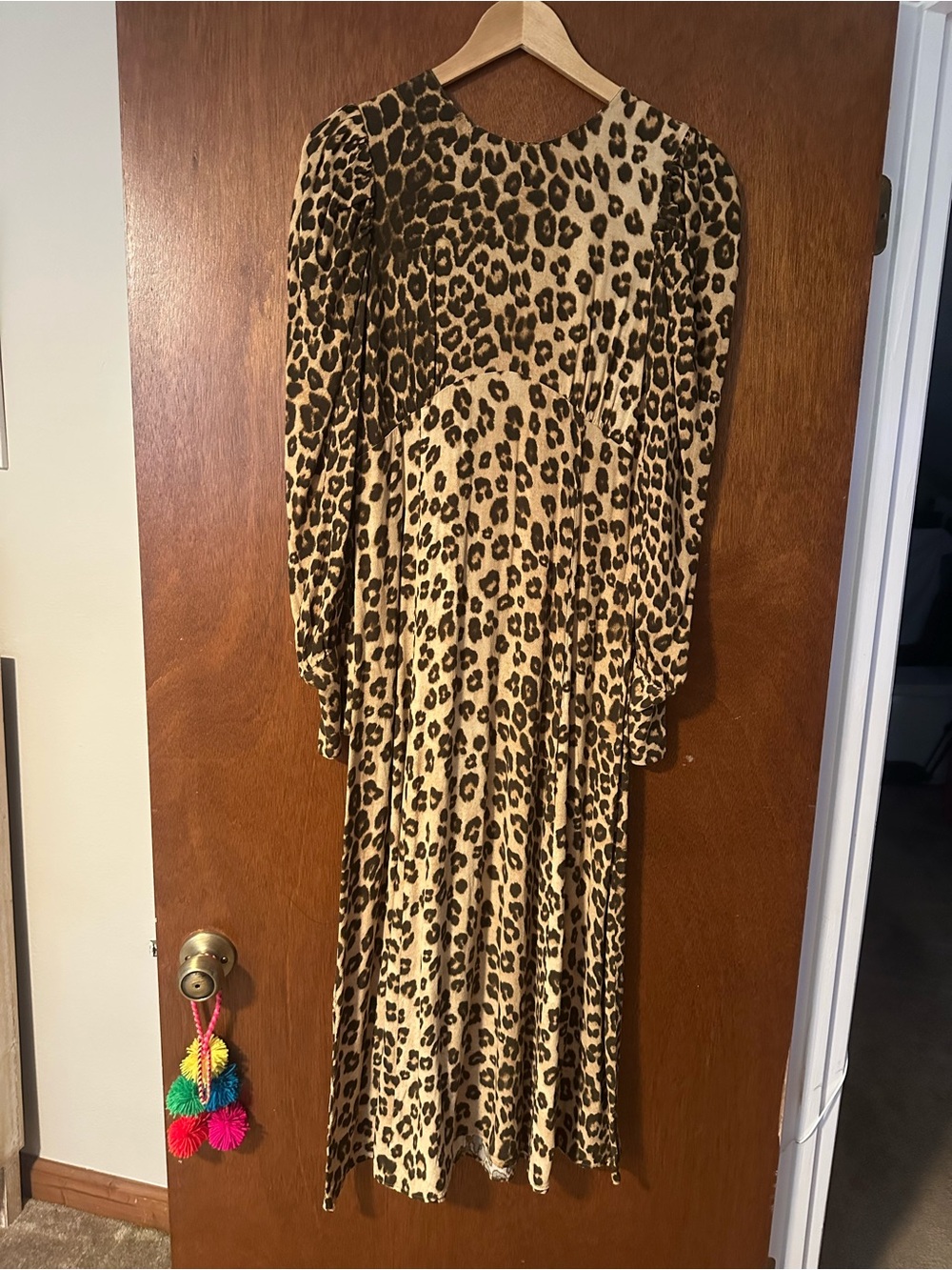 ZARA Leopard Long Sleeve Maxi Dress